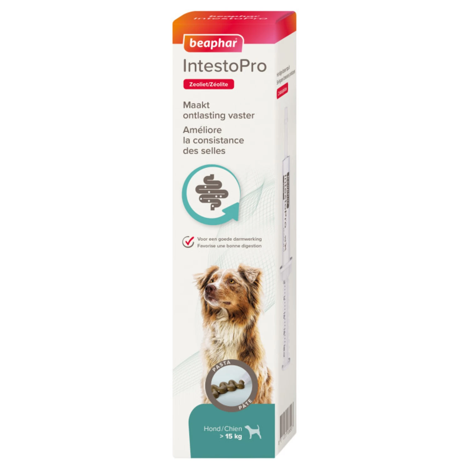 Beaphar Beaphar IntestoPro Pasta Hond Vanaf 15 Kilo - 20 Ml 1 Beaphar Beaphar IntestoPro Pasta Hond Vanaf 15 Kilo - 20 Ml