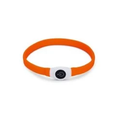 Beeztees Brede LED Halsband Hond - Verstelbaar - 65 X 2.5 Cm - Oranje - Lichtgevende Halsband