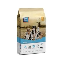 CaroCroc CaroCroc Puppy