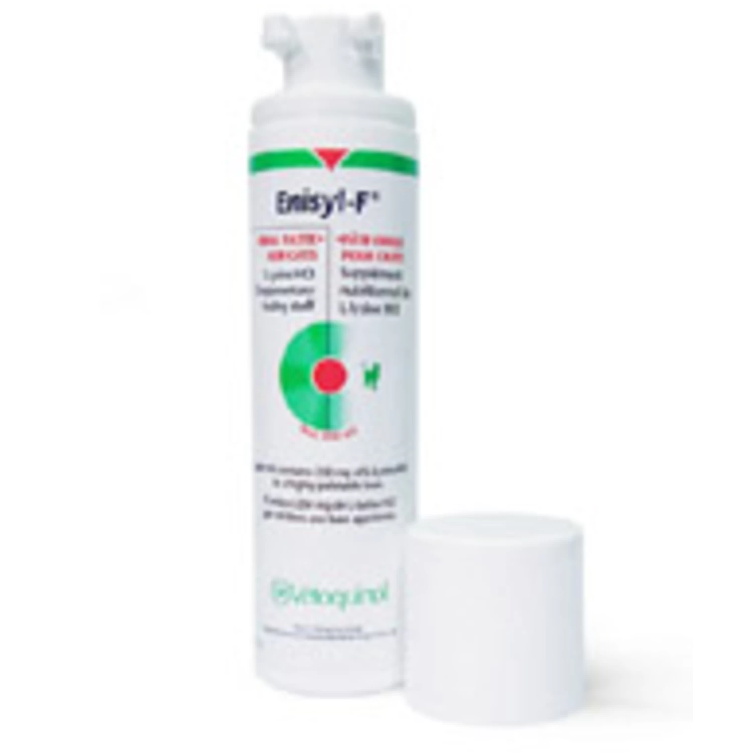 Vétoquinol Care Enisyl-F Orale Pasta - 100 Ml 1 Vétoquinol Care Enisyl-F Orale Pasta - 100 Ml